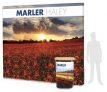 4×3 straight pop-up stand – by Marler Haley